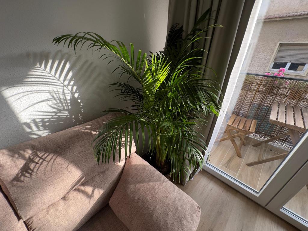 Antonio Apartments, Alicante – Precios actualizados 2023