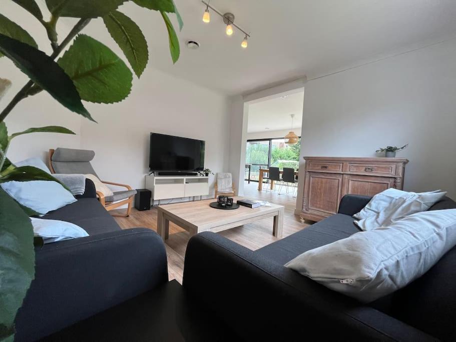 TV a/nebo společenská místnost v ubytování Boldermountain Guesthouse