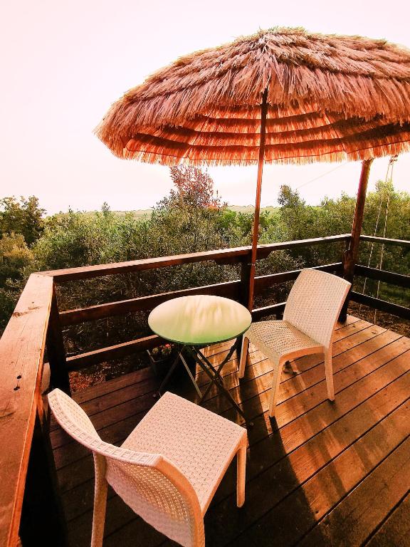 The Treehouse - Casa sull'albero al Golden Camp