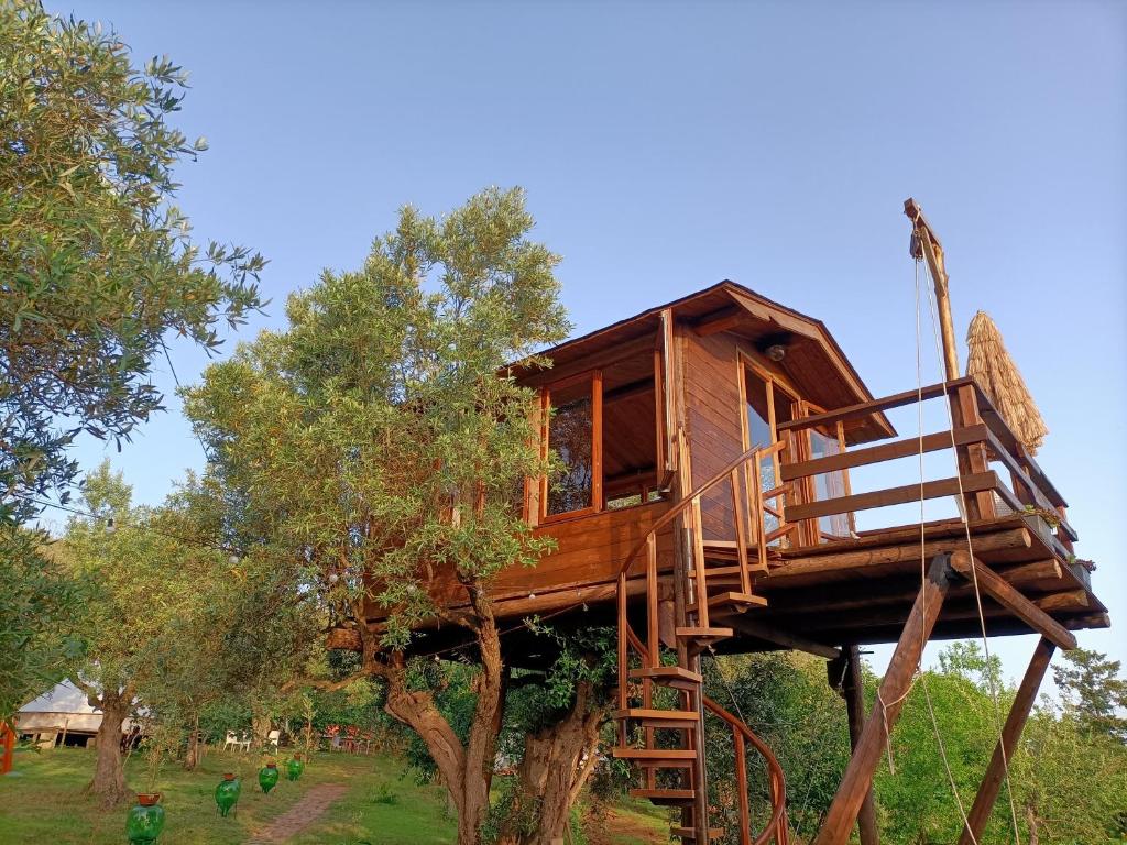 The Treehouse - Casa sull'albero al Golden Camp