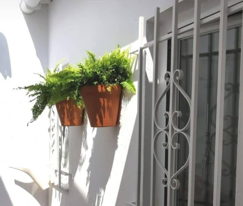 two potted plants sitting on a window sill at La Marieta, casita acogedora y centrica in Castilleja de la Cuesta