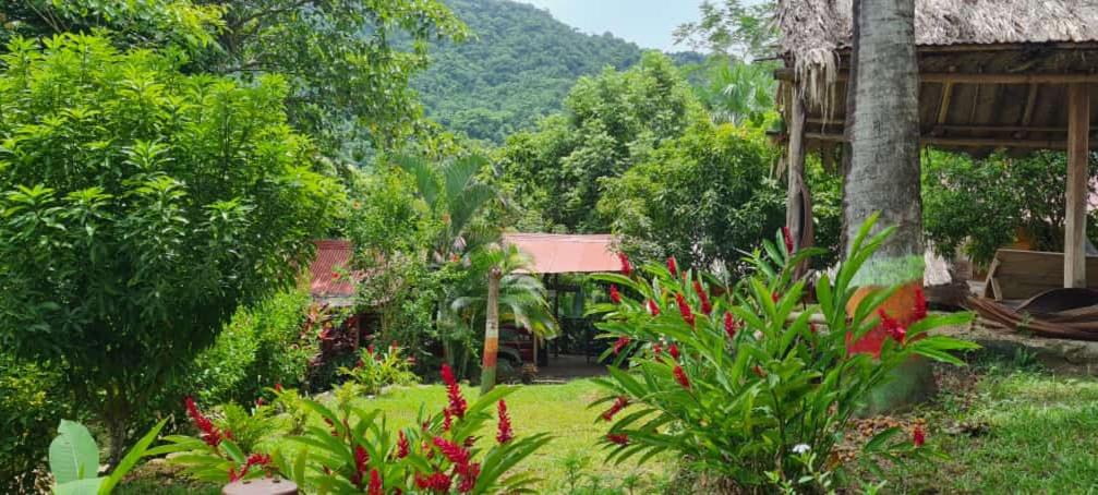 Ein Garten an der Unterkunft ECO Hostal Monolandia