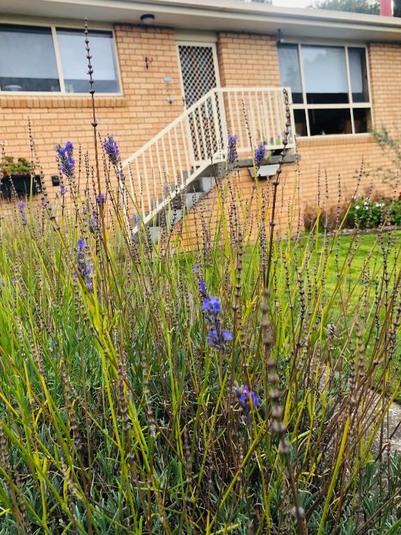 Lavender Cove, Kingston Beach – Updated 2024 Prices