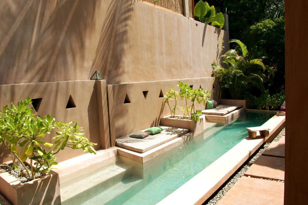 a swimming pool with plants in a backyard at Punta Navi - Adults only - Boutique hotel in Puerto Escondido