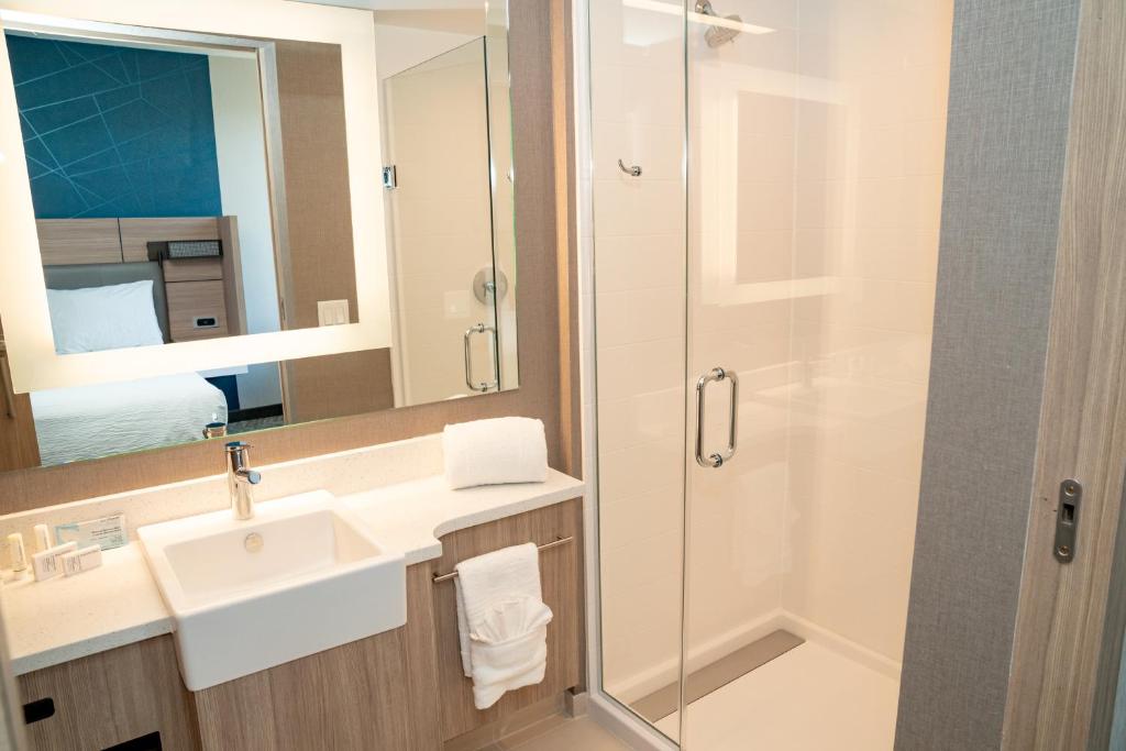 Koupelna v ubytování SpringHill Suites by Marriott Woodbridge
