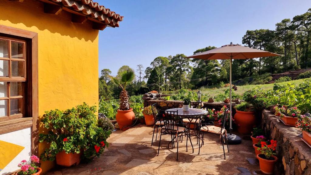 un patio con mesa, sombrilla y macetas en Federico, en Puntagorda