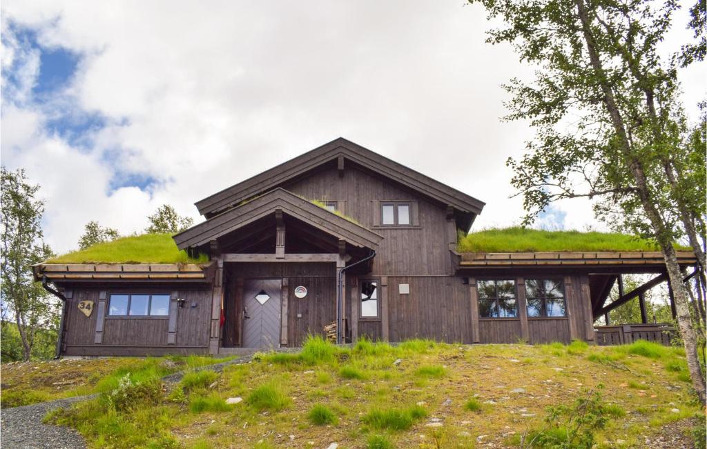 a house with a grass roof on top of a hill at 3 Bedroom Beautiful Home In Rauland in Rauland