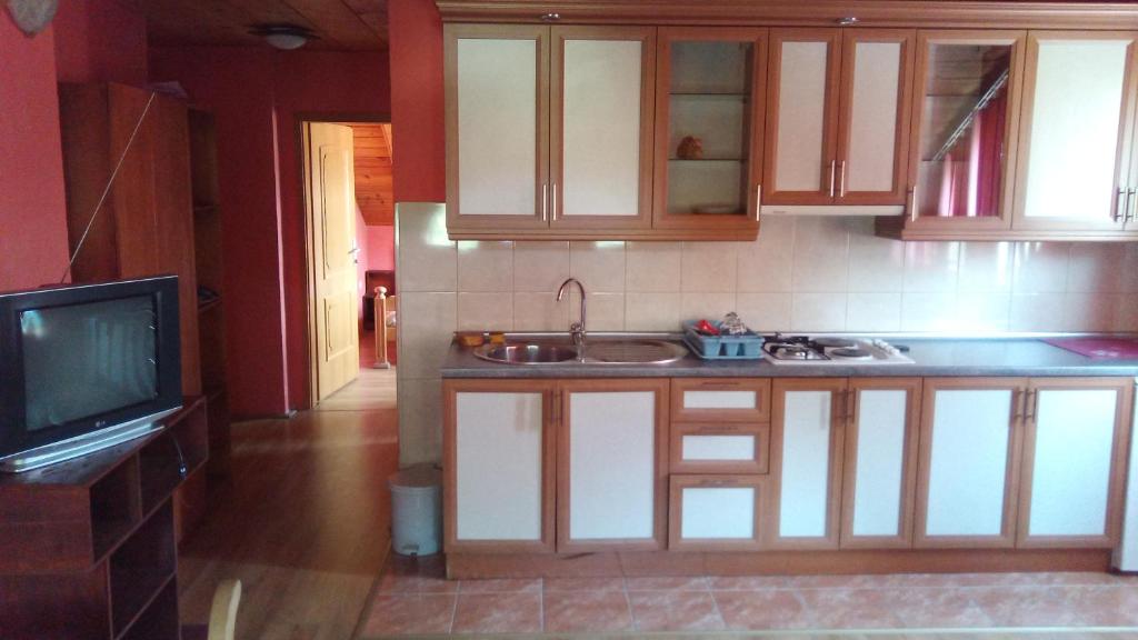 Kuchyň nebo kuchyňský kout v ubytování Motel Lovac