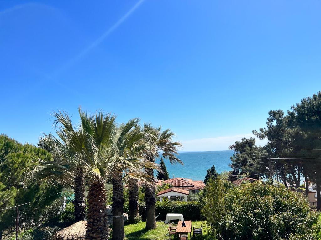 a group of palm trees with the ocean in the background at My Ancient Pydna Paradise ! in Makrygialos