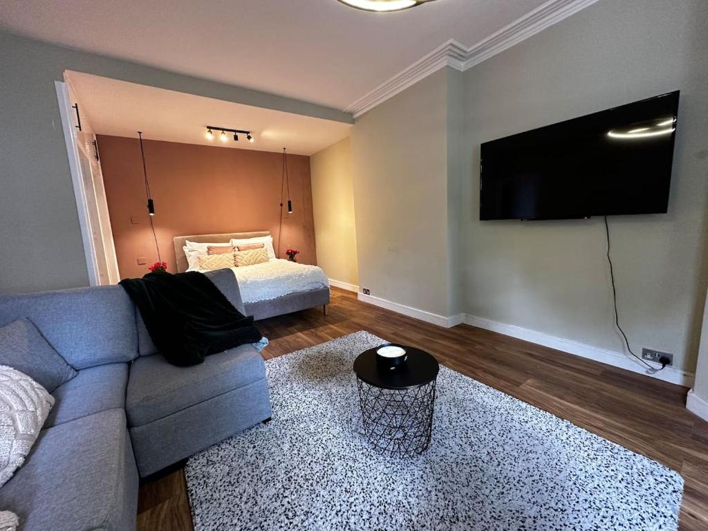 a living room with a couch and a flat screen tv at Spacious Studio for 4 flat near Regents Park n2 in London