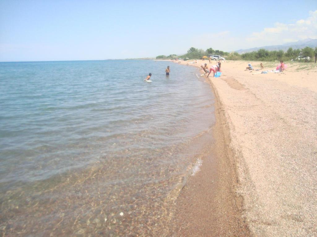 Тамга Иссык Куль турбаза