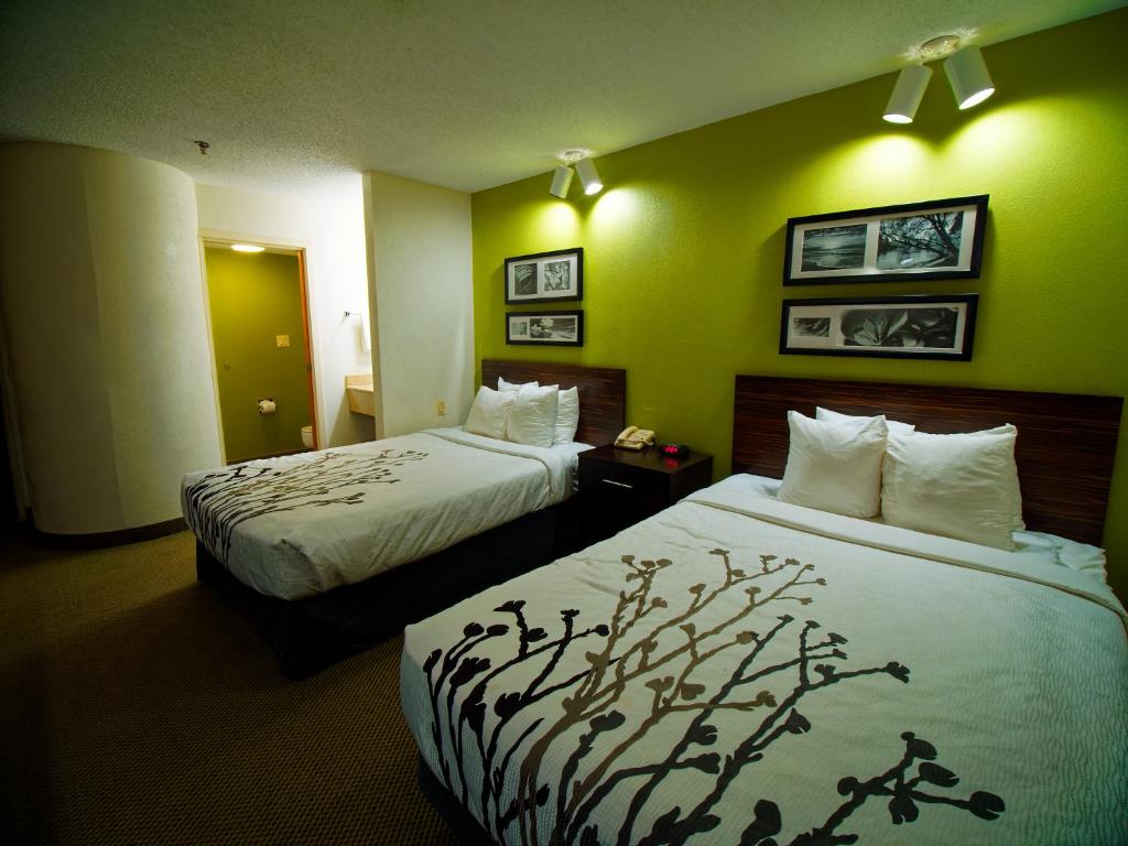 Sleep Inn Morganton في مورغانتون: سريرين في غرفة فندق بجدران خضراء