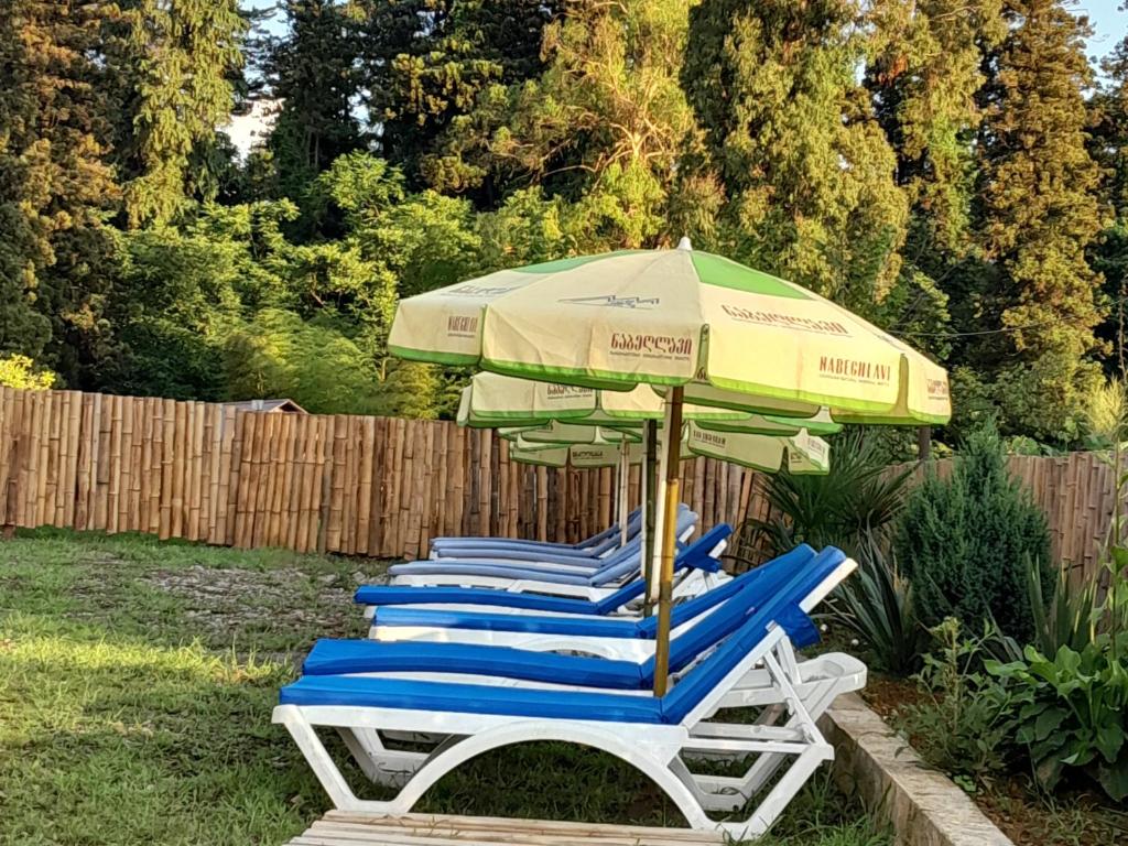 Zahrada ubytování vila chakvi