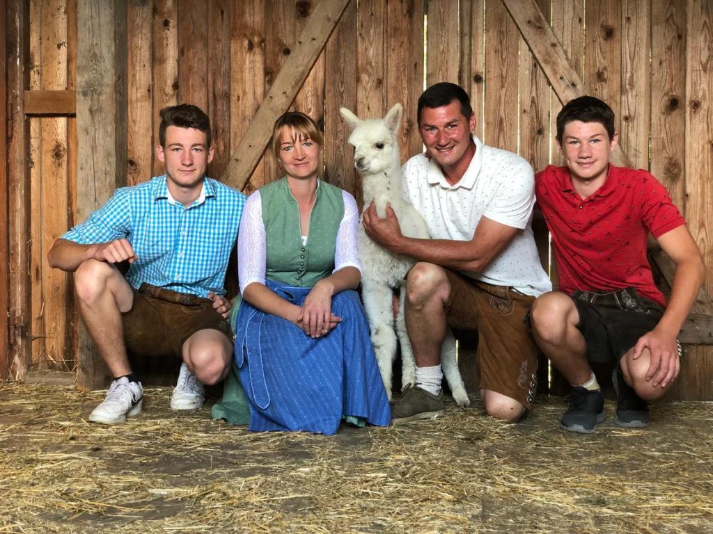 Hosté ubytování Bergbauernhof Stauder - Hirschbergalpakas