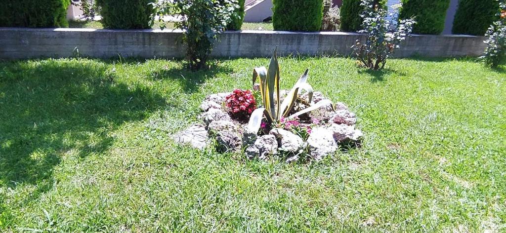 Zahrada ubytování ΣΤΟΥΝΤΙΟ ΕΥΑΓΓΕΛΙΑ