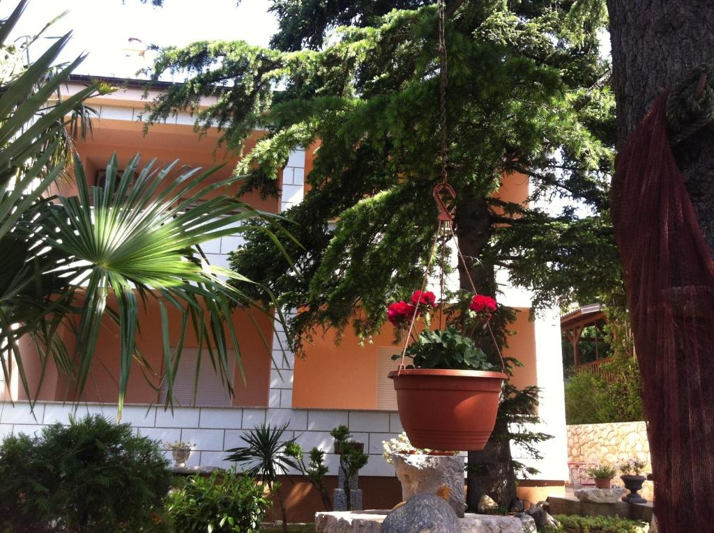 Zahrada ubytování Villa Marija