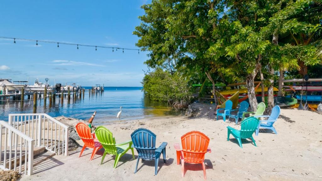 a group of chairs sitting on the beach at B 405 Moon Bay in Key Largo