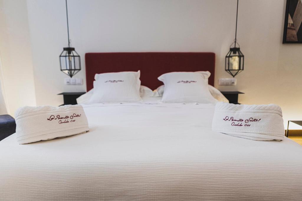 La Ermita Suites - Único Hotel Monumento de Córdoba - 9