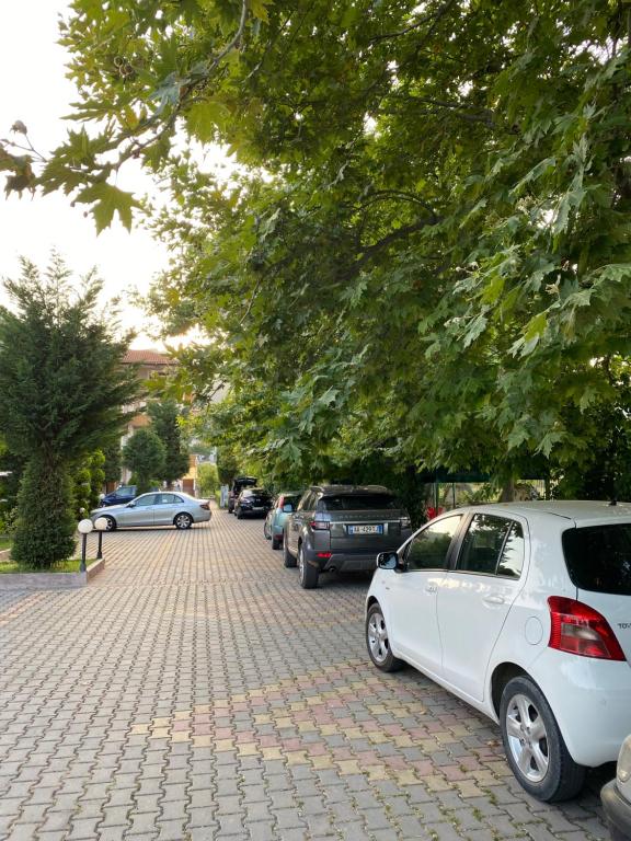 Fotografie z fotogalerie ubytování Camping & Guest House Herges v destinaci Udënisht