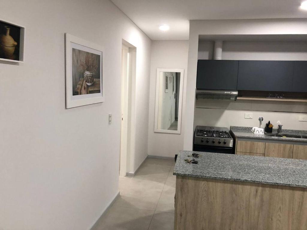 Experiencia Mendoza!! Bodegas y Montañas! - Apartamento De Una Habitación