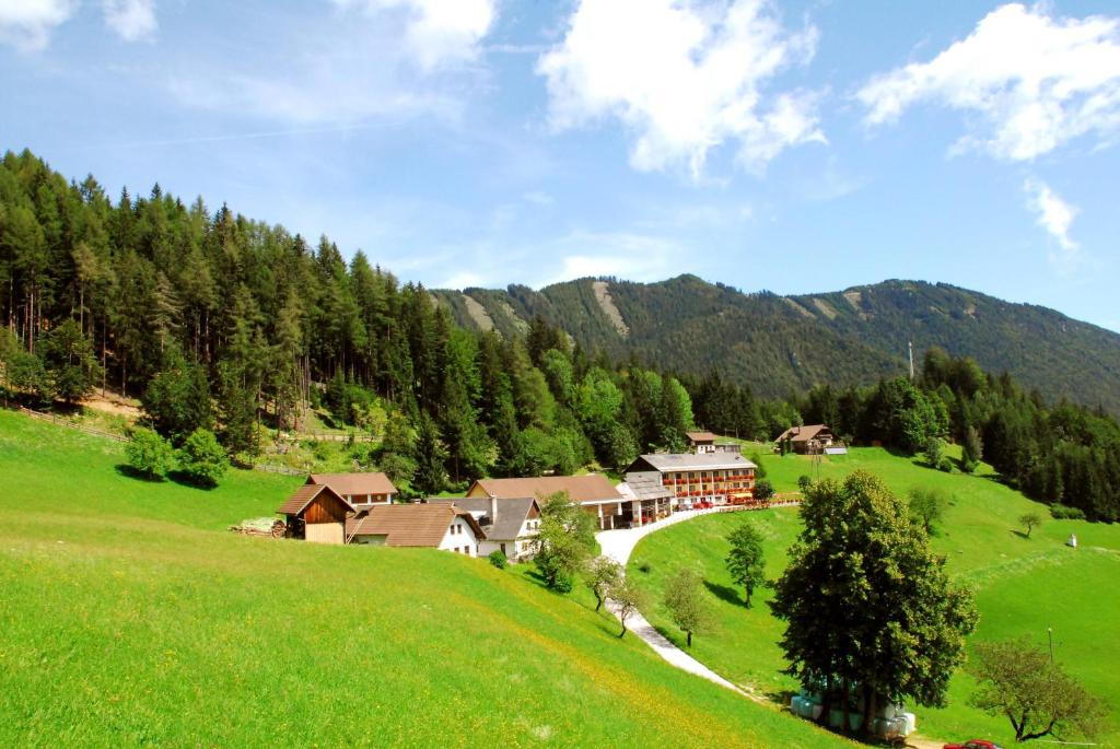 Příroda nedaleko bed and breakfast