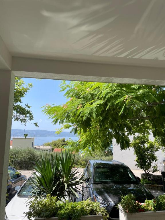 Príroda v okolí apartmánu