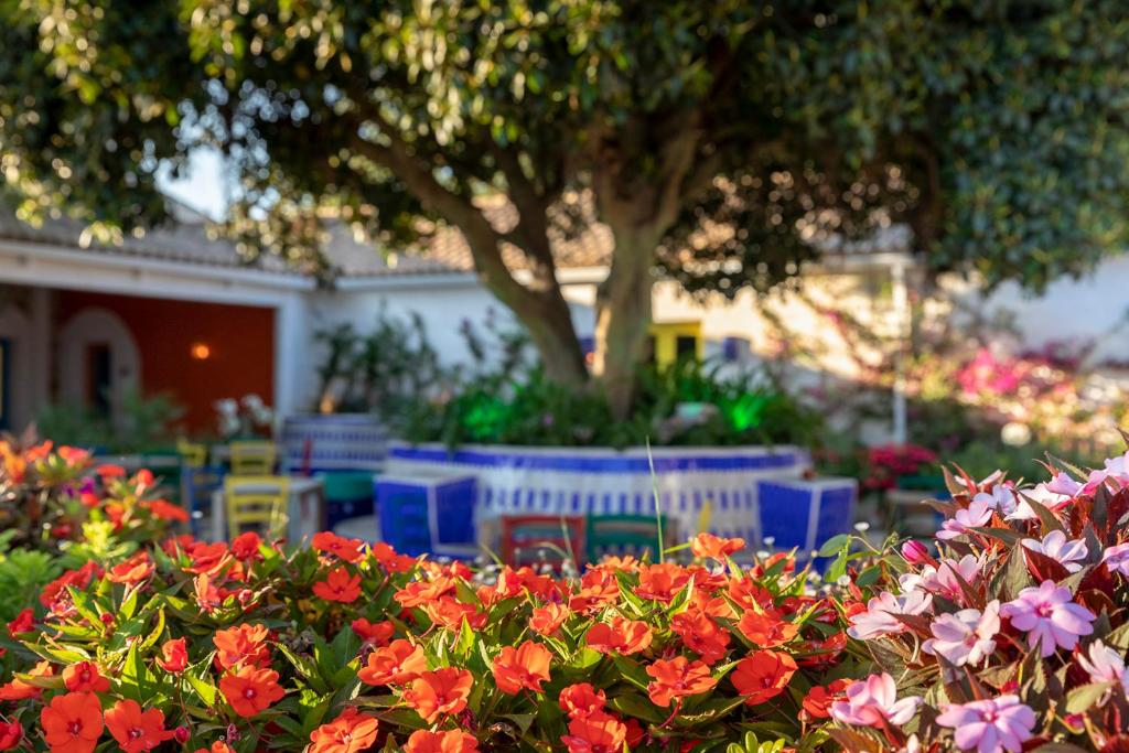 Zahrada ubytování Dunas Luxury Beach Resort Tarifa
