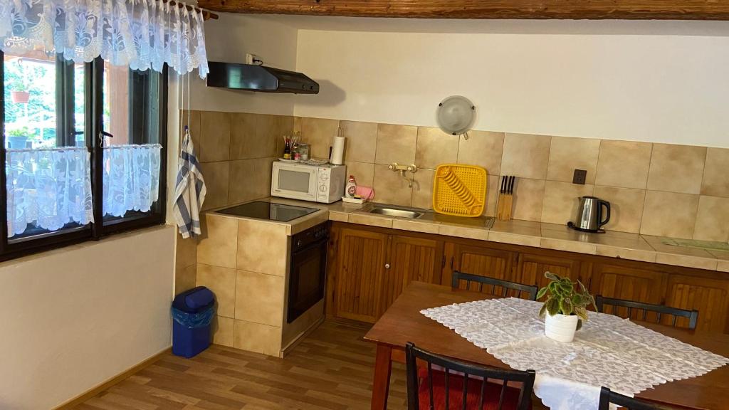 Kuchyň nebo kuchyňský kout v ubytování Penzion Bamako