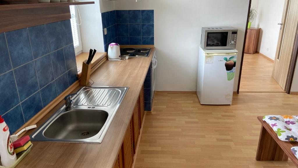 Kuchyň nebo kuchyňský kout v ubytování Penzion Bamako