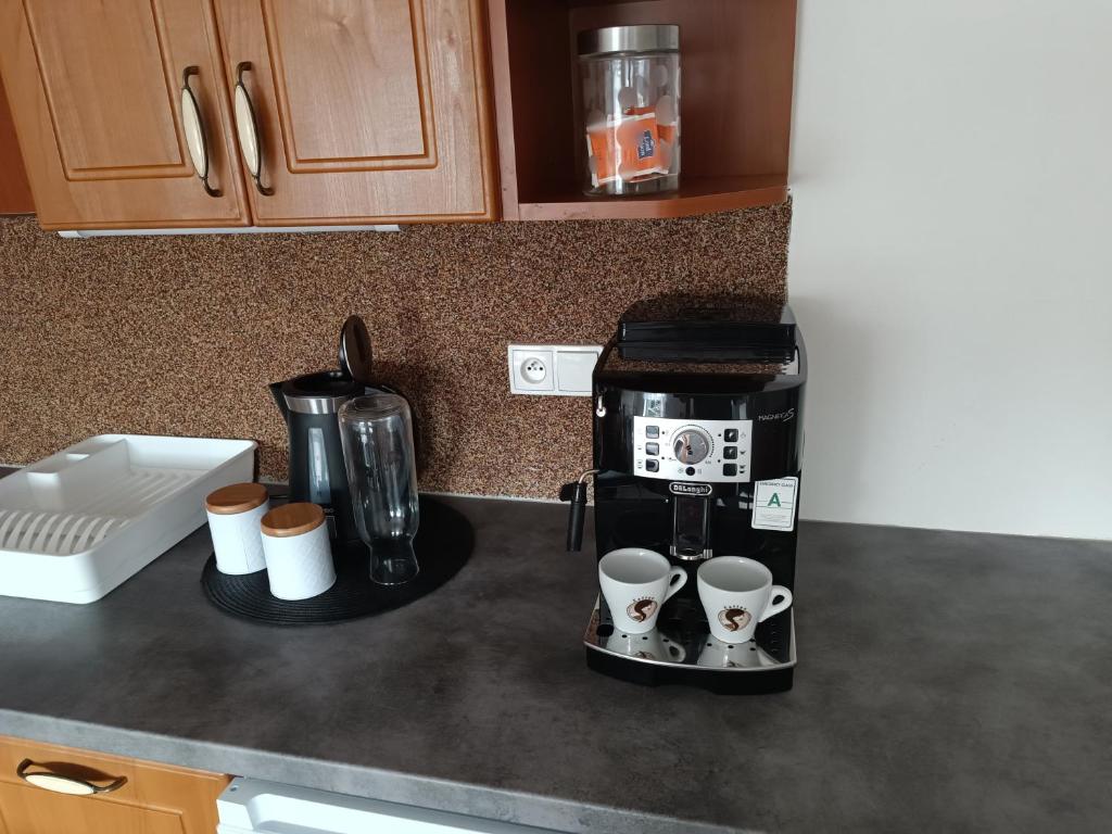 U Bocmana s výhledem na zámek a Labe - 18