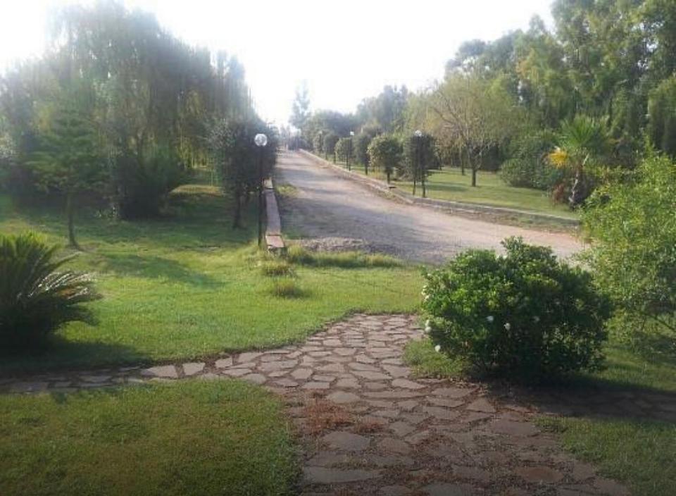 un camino de tierra con césped y árboles a ambos lados en Villa particular, en Tottubella