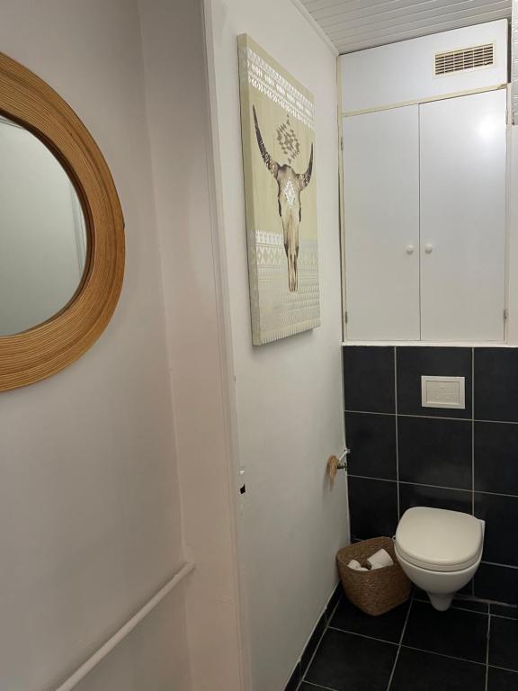 a bathroom with a toilet and a picture of a deer on the wall at Spacieux T3 haussmannien in Toulon