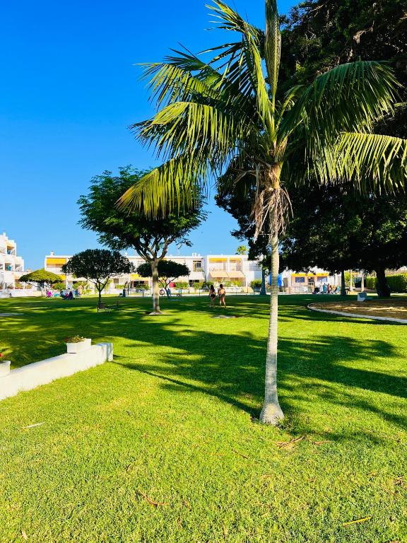 Vonkajšia záhrada v ubytovaní Villa Horacia - Playa de la Jara con Piscina