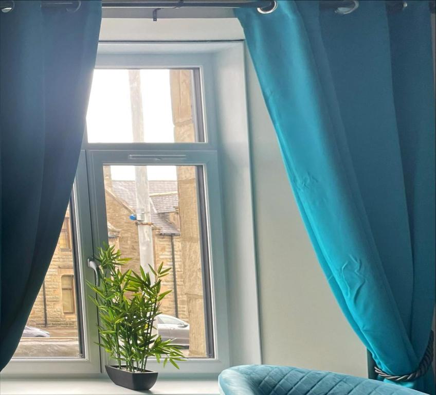 a window with a blue curtain and a plant at The Brig & Barrel hotel in Buckie