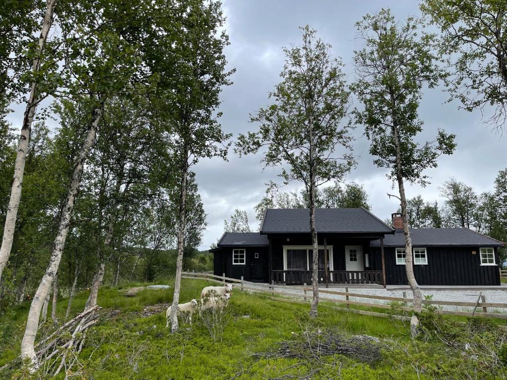 a black house in the middle of a field with trees at Sigurdhytta in Ål