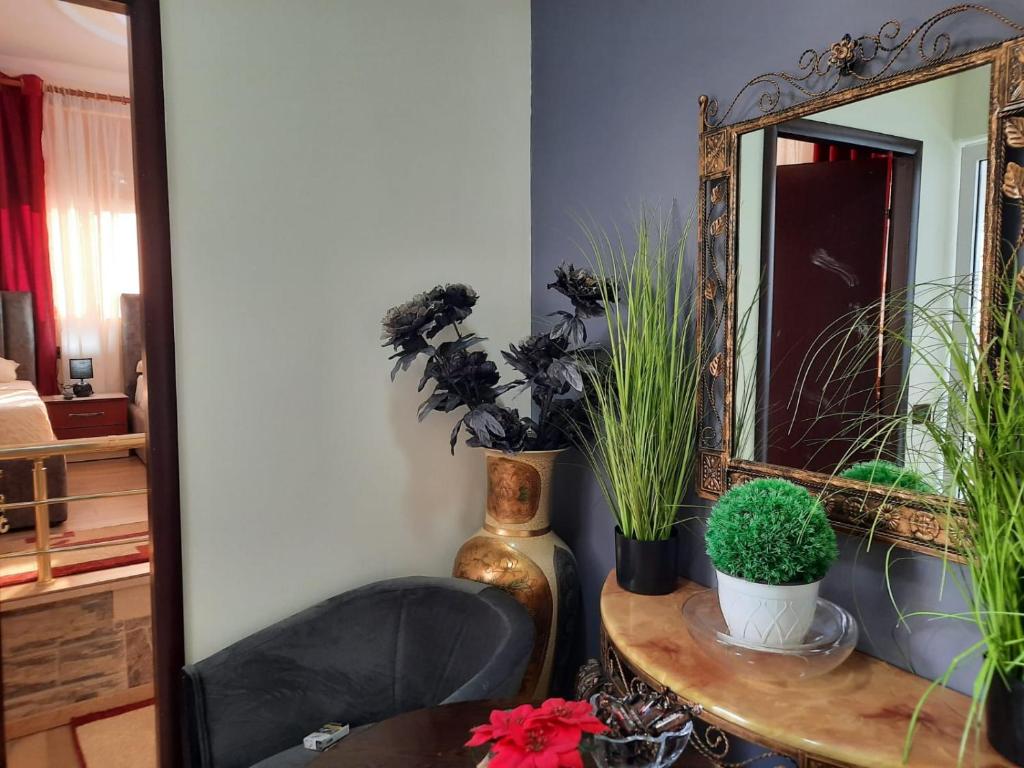 Fotografie z fotogalerie ubytování VILLA 53 v destinaci Tirana