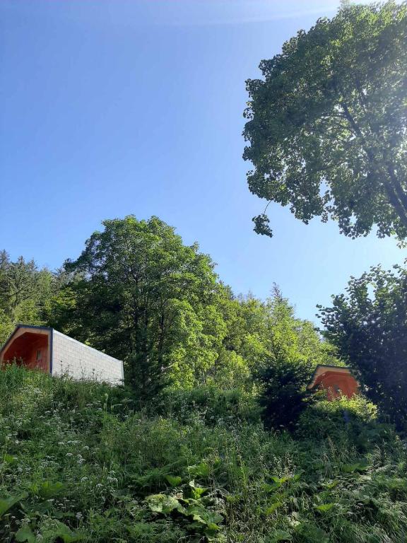 Zahrada ubytování Camping & Glamping Grintovec