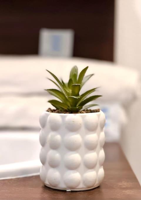 B206 Disneyland Paris AppartementAppartement - 14