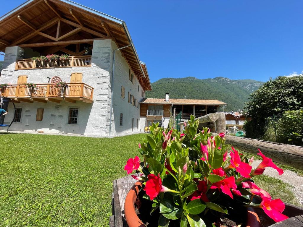 ein Haus mit einem Blumentopf davor in der Unterkunft La Lesivèra Bed and Breakfast in Tione di Trento