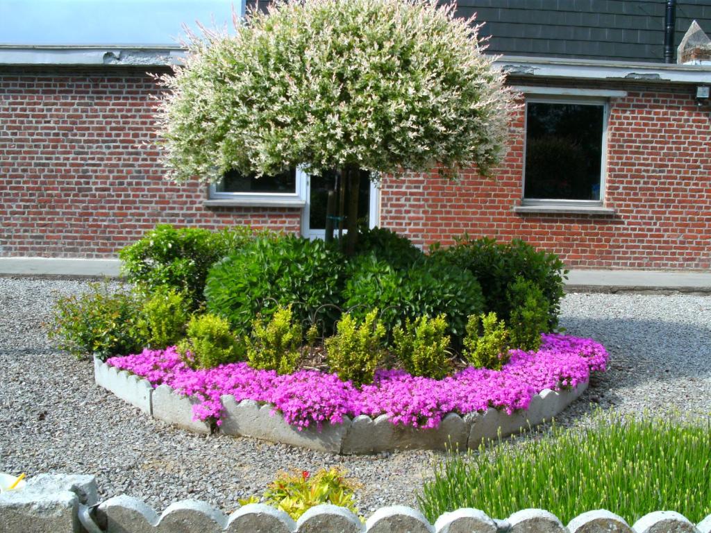 Zahrada ubytování Gîte ferme du moulin