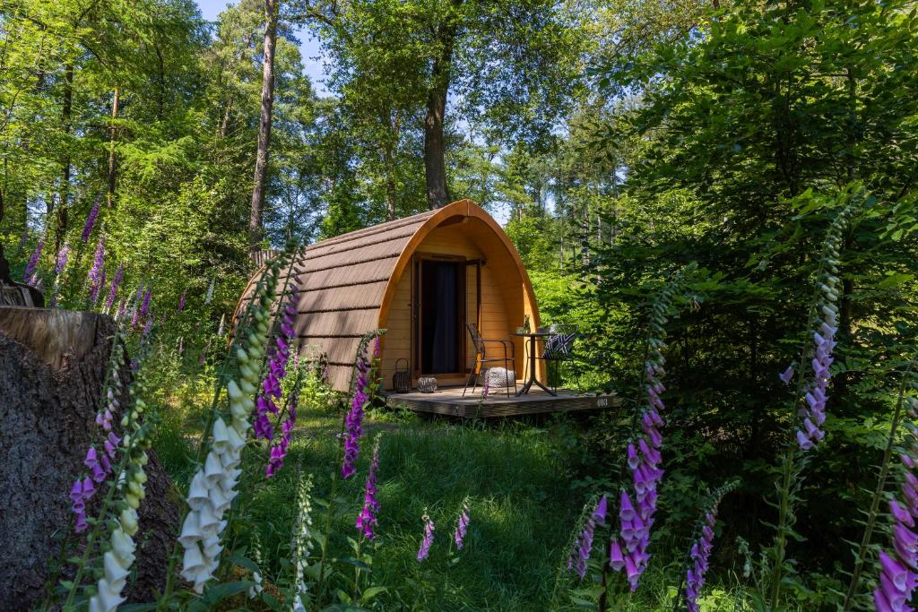 uma pequena cabana de madeira na floresta com flores roxas em Buitenplaats Beekhuizen em Velp