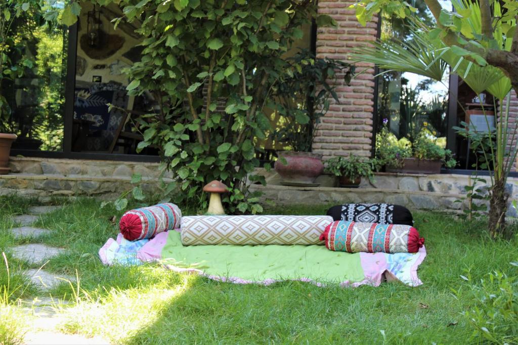 Zahrada ubytování Guest house poligloti