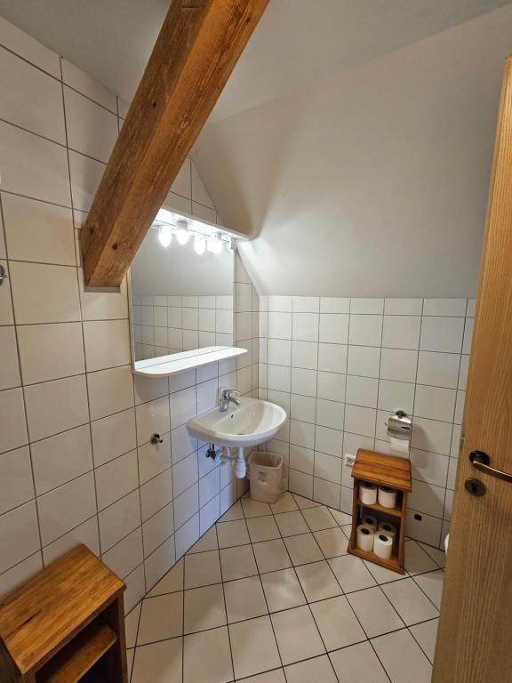 Vannituba majutusasutuses Čandrova koča