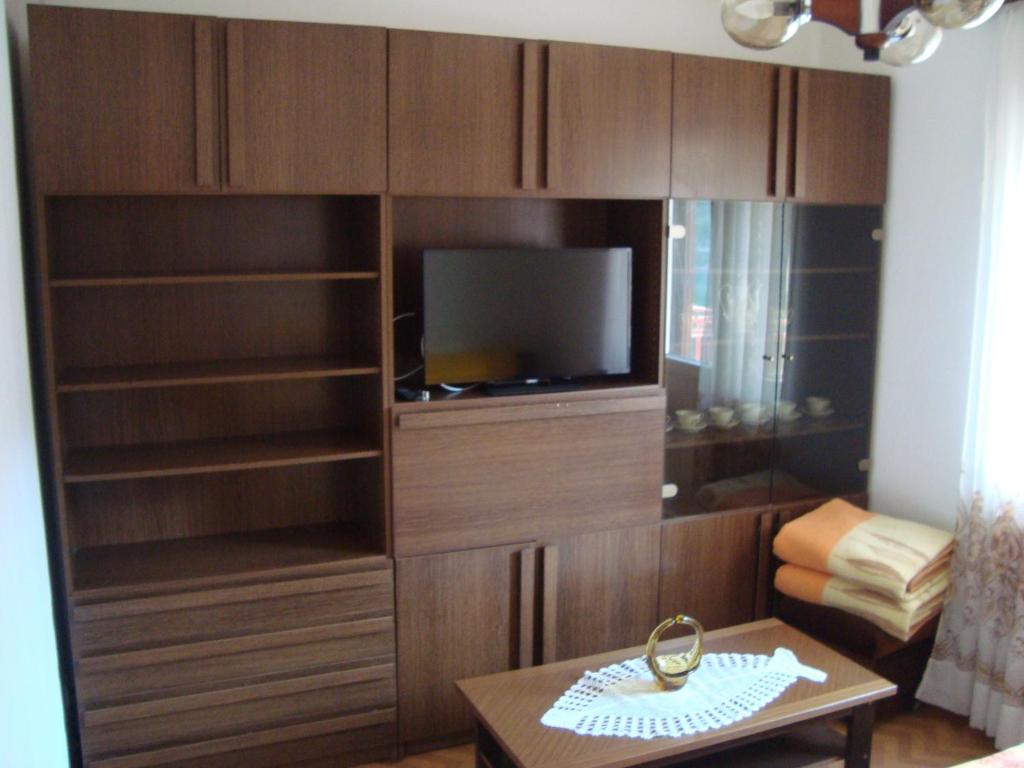 TV a/nebo společenská místnost v ubytování Apartment Josipa