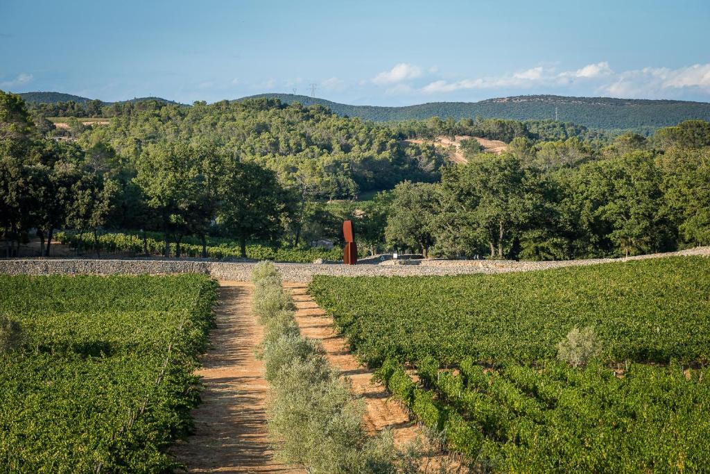 Photo de la galerie de l'établissement Commanderie de Peyrassol, à Flassans-sur-Issole