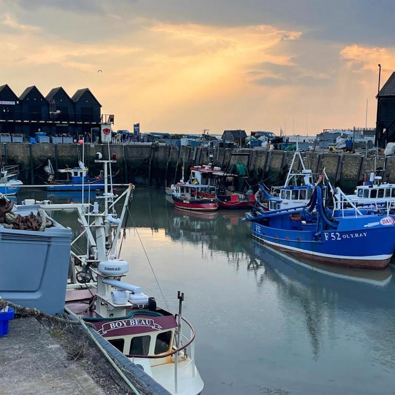 a group of boats are docked in a harbor at The Bubble Hideaway - A Little Oasis near the Sea in Whitstable