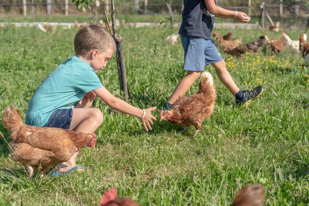 Děti v ubytování Camping Agrisalus