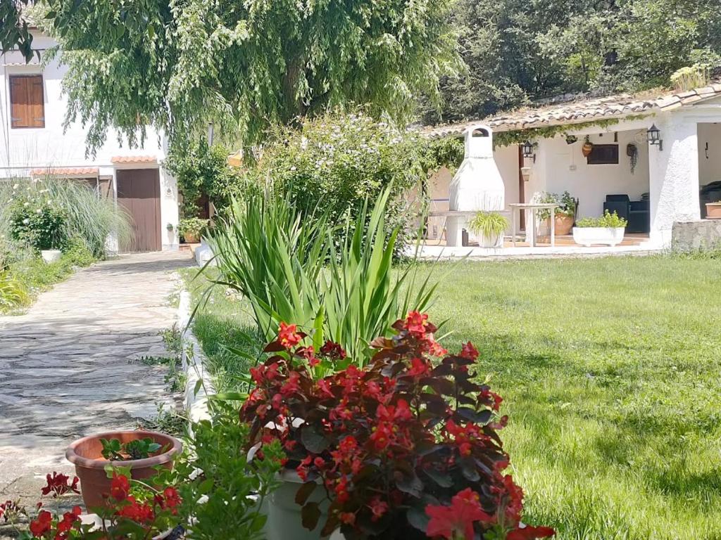 un jardín con flores rojas en un patio en Casa Rural en Naval, Torre San Rafael en Naval