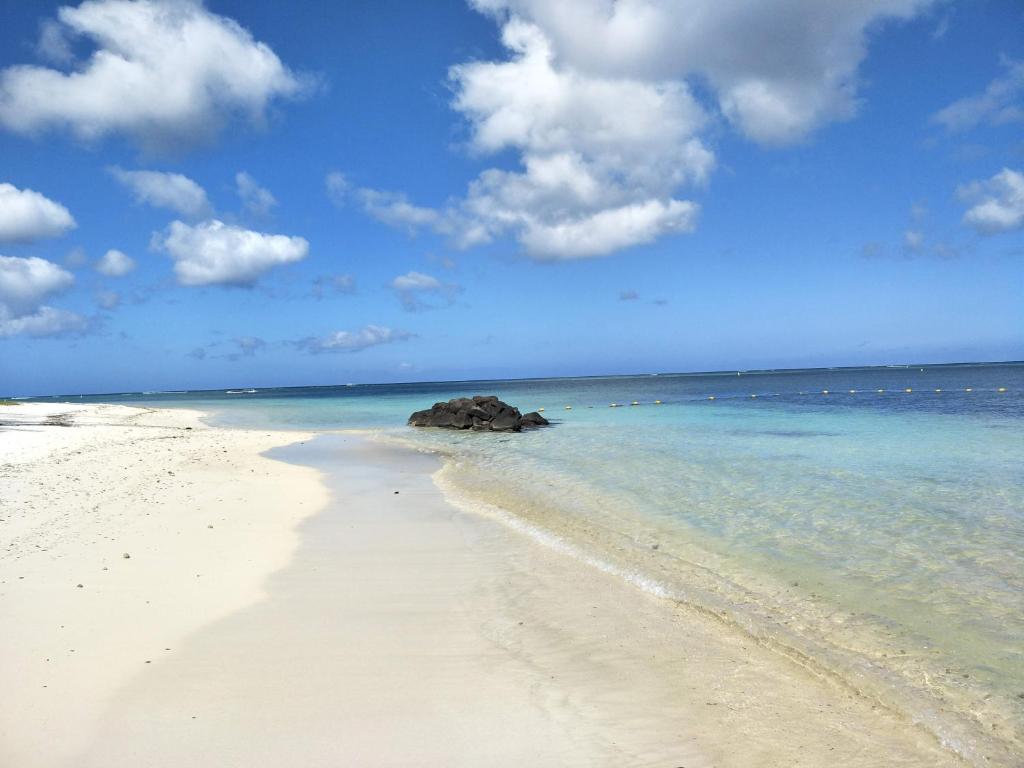 a beach with a large rock in the water at KASPOZ Entire Holiday Home - Private garden & 5 mins walk to the beach in Mont Choisy