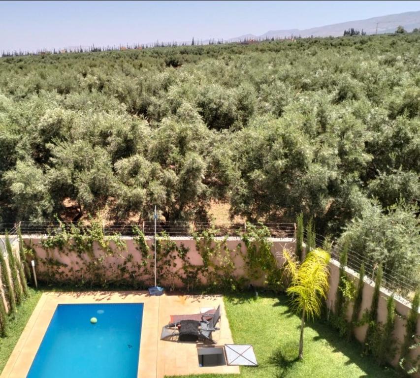vista aerea su un giardino con piscina di Jawharat marrakech a Marrakech